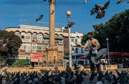 MEHMET GÖKYIĞIT - SARAYÖNÜ, Lefkoşa’da Yaşam