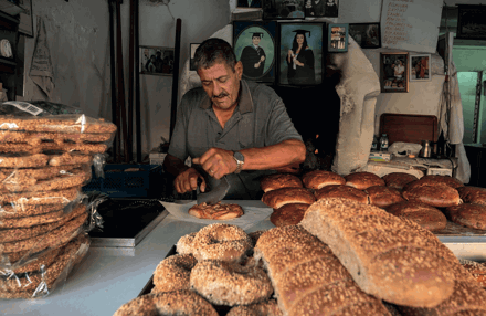 TEVFIK ULUAL - ŞEHERIN FIRINCISI, Lefkoşa’da Yaşam