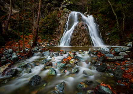 Mehmet Gökyiğit - Twin Flow - Doğa Kategorisi Üçüncülük Ödülü