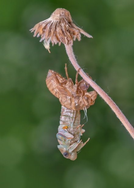 The Beginning of My New Life