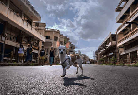  BAŞAR TAŞLI - LADY IN VAROSHA, Mağusa ve Maraş’ta Yaşam