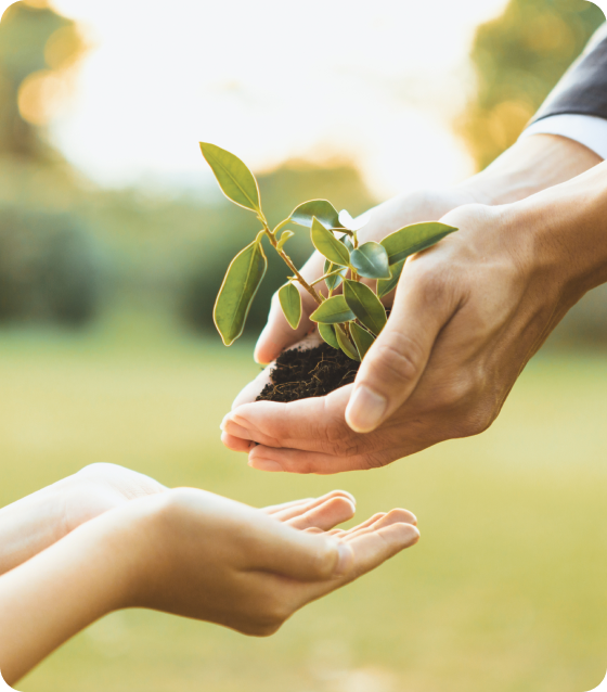 S�rd�r�lebilir Deer ve Toplumsal Sorumluluk