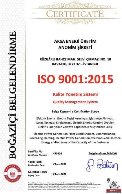 ISO 9001