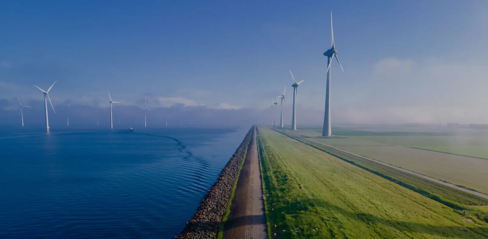 GloballeşmeKurumsallaşma SürdürülebilirYüksek Büyüme